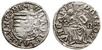 denar bez daty (1500–1502), Kremnica, Aw: Tarcza