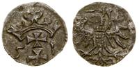 denar 1551, Gdańsk, patyna, bardzo rzadki roczni