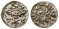 denar 1556, Gdańsk, CNG 81.VIII, Kop. 7352 (R3),