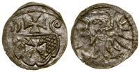 denar 1556, Elbląg, delikatna patyna, CNCE 233, 
