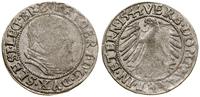 grosz 1544, Legnica, niedobity, F.u.S. 1363, Kop