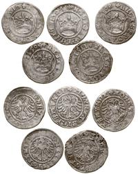 Polska, zestaw 5 x półgrosz, 1507, 1508, 1509, 1510, 1511