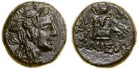 brąz ok. 85–65 pne, Aw: Głowa Dionizosa w prawo,