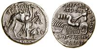 denar 58 pne, Rzym, Aw: Wielbłąd, poniżej klęczą