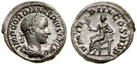 denar 241–243, Rzym, Aw: Popiersie cesarza w wie