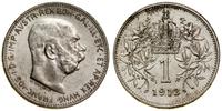 1 korona 1913, Wiedeń, przetarta, Herinek 803