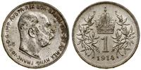 1 korona 1914, Wiedeń, przetarta, Herinek 804
