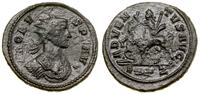 Cesarstwo Rzymskie, antoninian bilonowy, 276–282