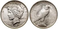 dolar 1923, Filadelfia, srebro, 26.76 g, niewiel