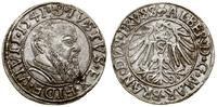grosz 1541, Królewiec, wyczyszczony, Kop. 3783, 