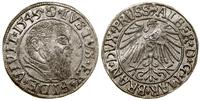grosz 1543, Królewiec, końcówka legendy PRVSS, B