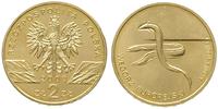 2 złote 2003, Warszawa, Węgorz Europejski, Nordi