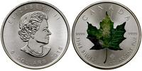 5 dolarów 2015, Ottawa, Liść klonowy, 1 uncja cz