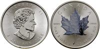 5 dolarów 2015, Ottawa, Liść klonowy, 1 uncja cz