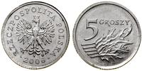 5 groszy 2006, Warszawa, aluminium 0.78 g, wybit
