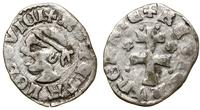 denar ok. 1358–1371, Aw: Głowa Saracena w lewo, 
