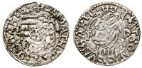 denar ok. 1490, Kremnica, Aw: Tarcza herbowa, M 