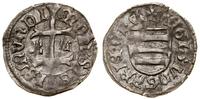 denar bez daty (1436–1437), Kremnica, Aw: Krzyż 
