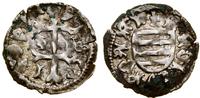 denar bez daty (1427–1437), Aw: Krzyż lotaryński