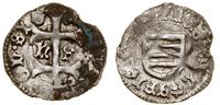 denar bez daty (1427–1437), Sybin, Aw: Krzyż lot