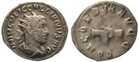 antoninian 253-255, Rzym, Aw: Popiersie cesarza 