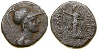 brąz 38/37 pne, Apamea, Aw: Atena w hełmie koryn