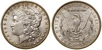 1 dolar 1886, Filadelfia, typ Morgan, ryski z ob