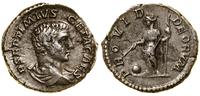 denar 203–208, Rzym, Aw: Popiersie w prawo, P SE