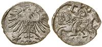 Polska, denar, 1557