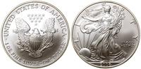 1 dolar 2006, West Point, typ Walking Liberty, s