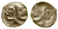 denar jednostronny XIV/XV w., Lew w prawo, srebr