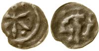 denar XIV/XV w., Aw: Sześciopromienna gwiazda, w