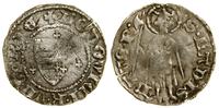 denar 1366–1382, Aw: Tarcza andegaweńska, wokół 