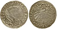grosz 1534, Toruń, popiersie władcy w czepcu i k