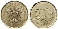 Polska, 5 groszy, 2006