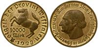 10.000 marek 1923, miedź złocona, 31.32 g, patyn