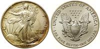 Stany Zjednoczone Ameryki (USA), dolar, 1991