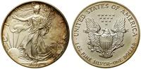 Stany Zjednoczone Ameryki (USA), dolar, 1993