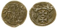 denar 1549, Gdańsk, patyna, rzadki rocznik, CNG 