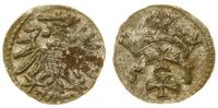 denar 1551, Gdańsk, miejscowy, rdzawy nalot, pat