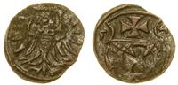 denar 1554, Elbląg, moneta czyszczona, rzadki ro
