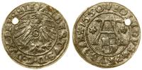 szeląg 1550, Królewiec, moneta przedziurawiona, 