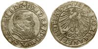 grosz 1544, Legnica, F.u.S. 1363, Kop. 4924