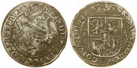 ort 1621, Bydgoszcz, końcówka PRV M, moneta z bl