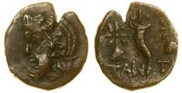 brąz ok. 150-120 pne, Aw: Głowa satyra w lewo; R