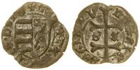 denar bez daty (1463), Aw: Tarcza herbowa, + MON