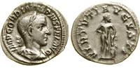 denar 241–243, Rzym, Aw: Popiersie cesarza w wie