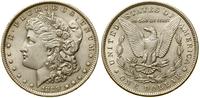 Stany Zjednoczone Ameryki (USA), 1 dolar, 1889