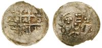 denar bez daty (ok. 1185/90–ok. 1200), Aw: Dwuni