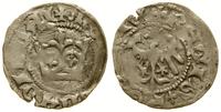 półgrosz koronny bez daty (1406–1412), Aw: Koron